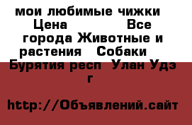 мои любимые чижки › Цена ­ 15 000 - Все города Животные и растения » Собаки   . Бурятия респ.,Улан-Удэ г.